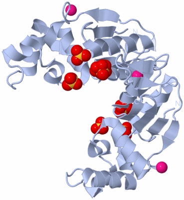 Image Biological Unit 2