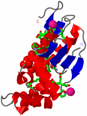 Image Asym. Unit - sites