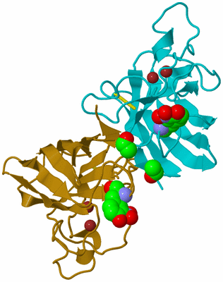 Image Biological Unit 1