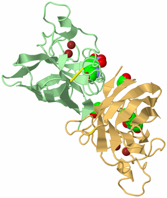 Image Biological Unit 2