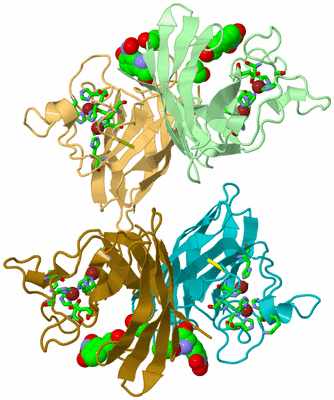 Image Asym. Unit - sites