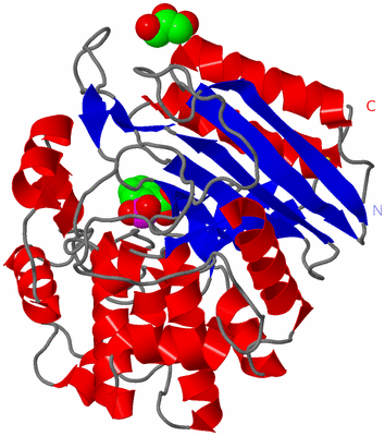 Image Asym./Biol. Unit