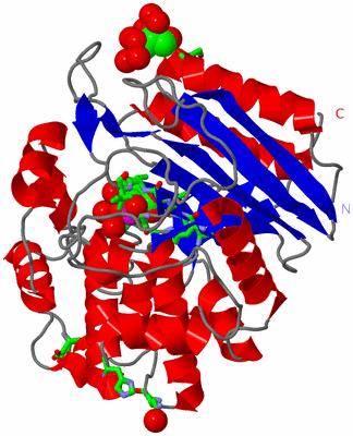 Image Asym./Biol. Unit - sites