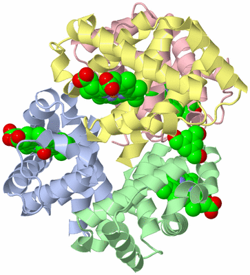 Image Biological Unit 1