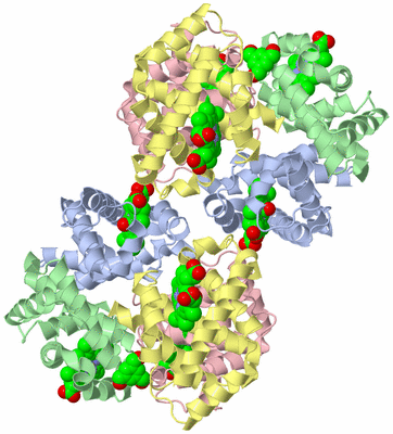 Image Biological Unit 2