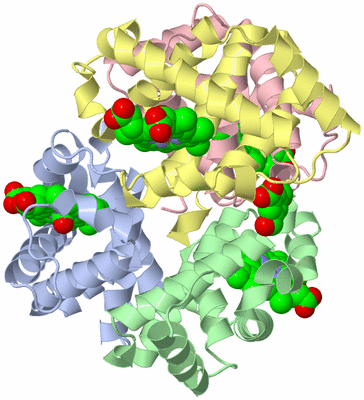 Image Biological Unit 1