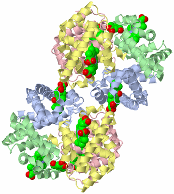 Image Biological Unit 2