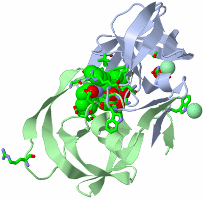 Image Asym./Biol. Unit - sites