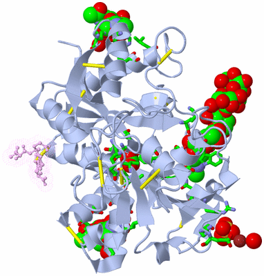 Image Asym./Biol. Unit - sites