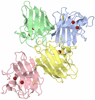 Image Asym./Biol. Unit