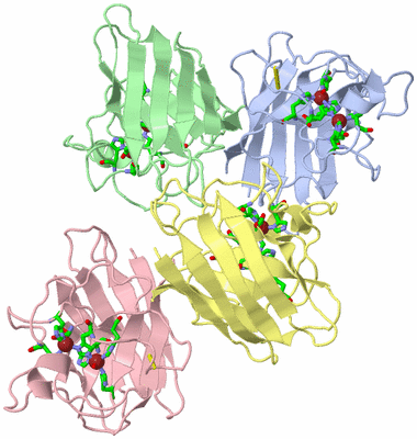 Image Asym./Biol. Unit - sites