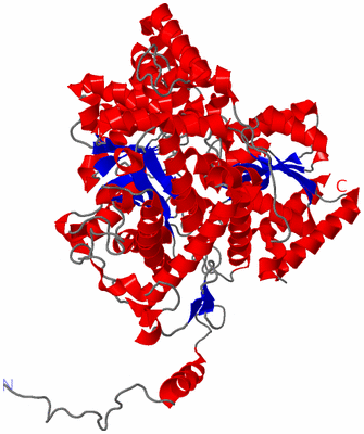 Image Theoretical Model