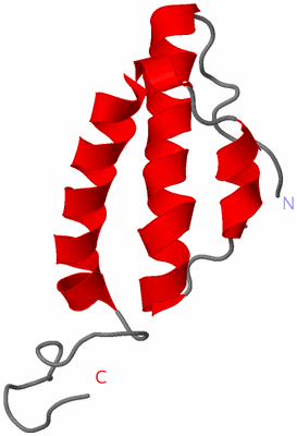 Image NMR Structure - model 1