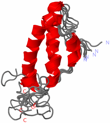 Image NMR Structure - all models