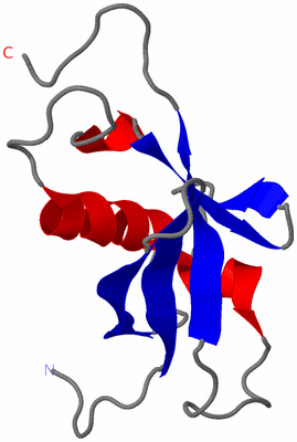 Image NMR Structure - model 1
