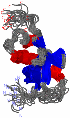 Image NMR Structure - all models