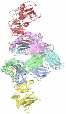 Image Asym./Biol. Unit