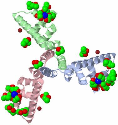 Image Asym./Biol. Unit