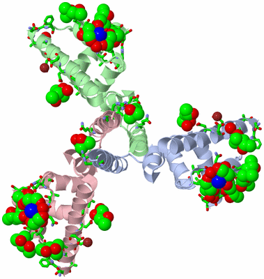 Image Asym./Biol. Unit - sites