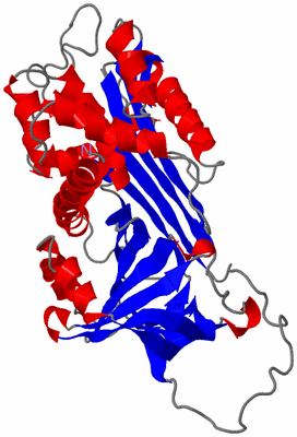Image Asymmetric Unit