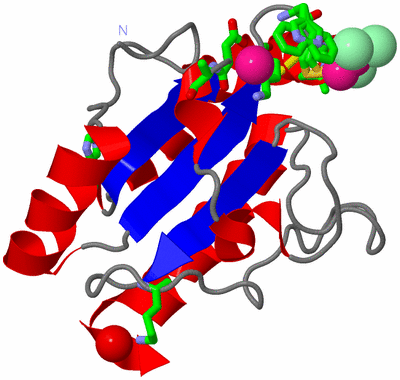 Image Asym./Biol. Unit - sites