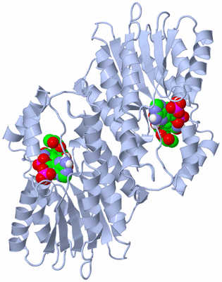 Image Biological Unit 1