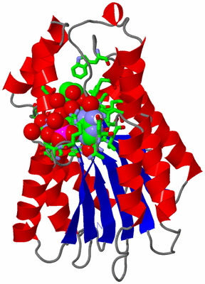 Image Asym. Unit - sites