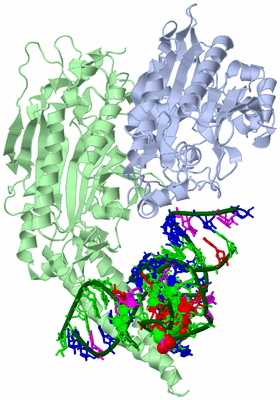 Image Asym./Biol. Unit