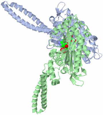 Image Asym./Biol. Unit