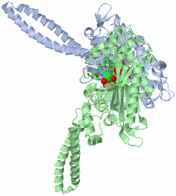 Image Asym./Biol. Unit - sites