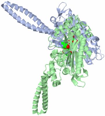 Image Asym./Biol. Unit