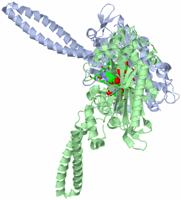 Image Asym./Biol. Unit - sites