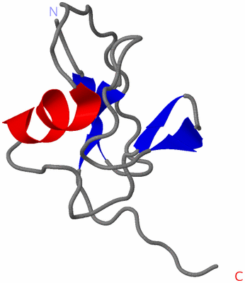 Image NMR Structure - model 1