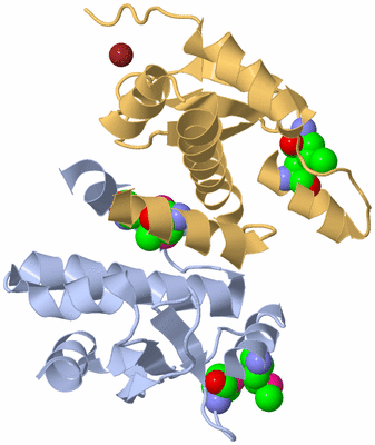 Image Biological Unit 1