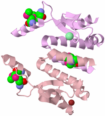 Image Biological Unit 2