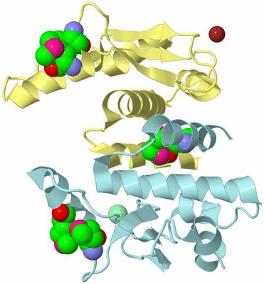 Image Biological Unit 3