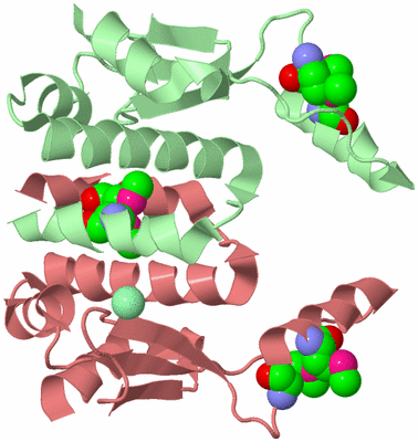 Image Biological Unit 4