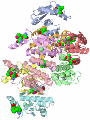 Image Biological Unit 5