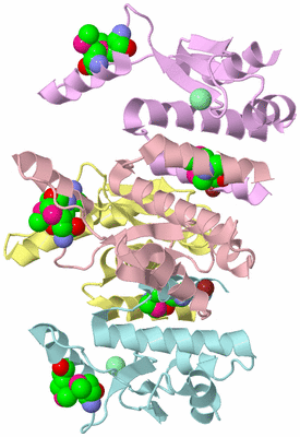 Image Biological Unit 6