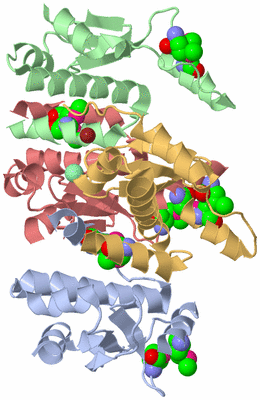 Image Biological Unit 7