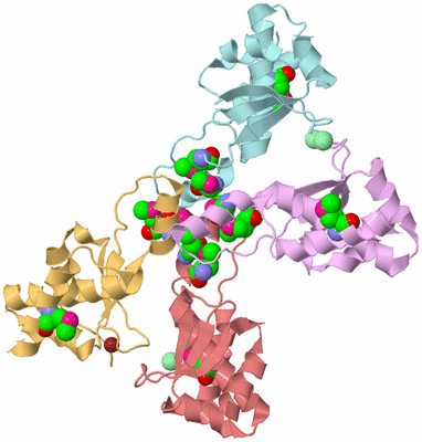 Image Biological Unit 8