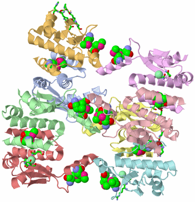 Image Asym. Unit - sites