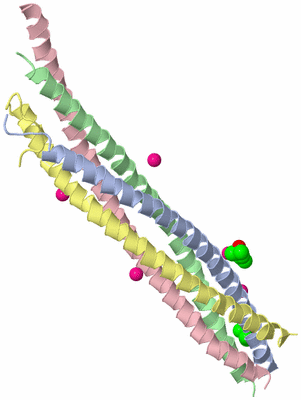 Image Biological Unit 1