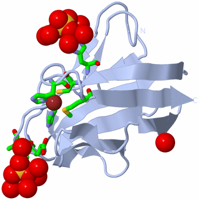 Image Biol. Unit 1 - sites