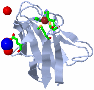 Image Biol. Unit 1 - sites