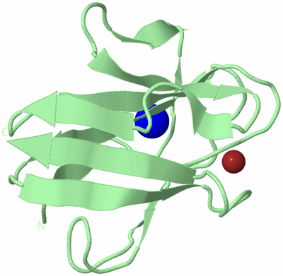 Image Biological Unit 2