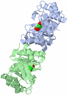 Image Asym./Biol. Unit