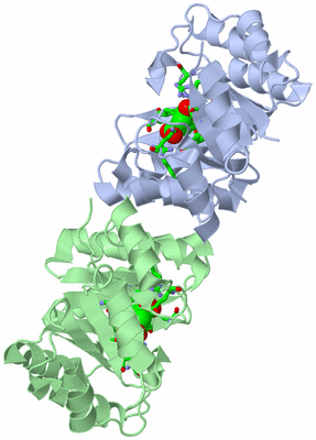 Image Asym./Biol. Unit - sites