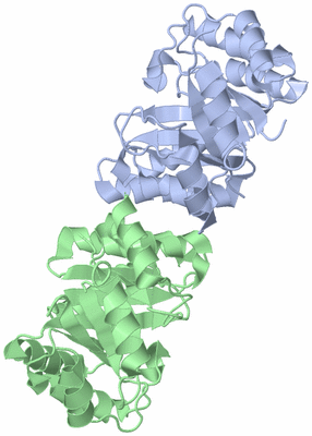 Image Asym./Biol. Unit