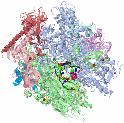 Image Asym./Biol. Unit